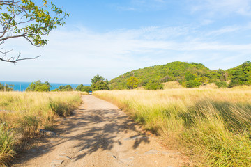 Obraz premium Savannah Landscape in Thailand.