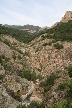 Monte Arcosu