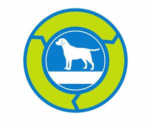 silhouette white dog