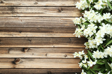 White flowers of jasmine on brown wooden background