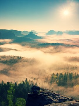 Fototapeta Fairy daybreak. Misty awakening in a beautiful hills. Peaks of hills are sticking out from foggy background