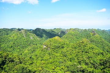 Cat Ba National Park