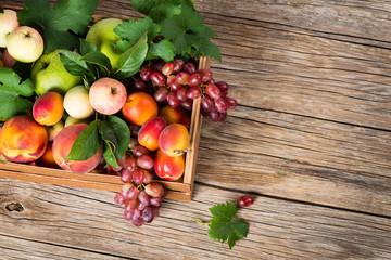 A crate of fresh fruits, view from above