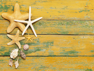 Starfishes and shells on wood