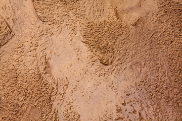 Fototapeta na wymiar Texture of wet sand