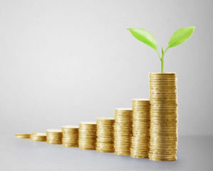 Coins graph stock market