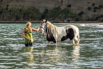 Girl washing horse in sea