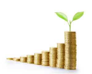 Coins graph stock market