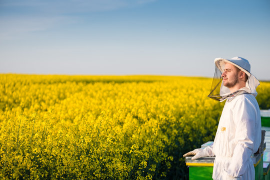 Proud apiarist - Powered by Adobe