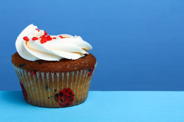 Cupcake on a blue background