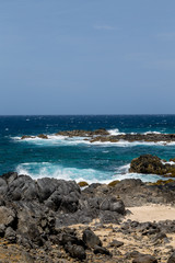 Fototapeta na wymiar Black Coral on Beach with Blue Surf