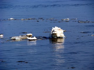 drifting ice © Irina Apraksina