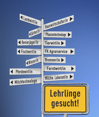 Fototapeta premium Wegweiser Berufsauswahl im Agrarbereich Lehrlinge gesucht!