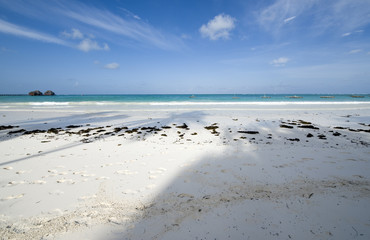 Zanzibar, the beach of the eastern coast