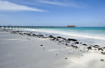 Zanzibar, the beach of the eastern coast