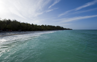 Zanzibar, the beach of the eastern coast