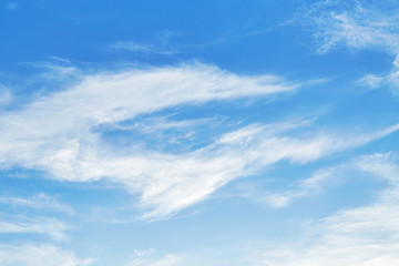 Fototapeta premium Cirrus clouds in sky