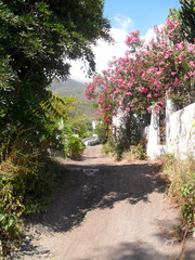 Ruelle et petit chemin