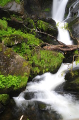 Triberg Waterfalls in Black Forest (Schwarzwald), Germany