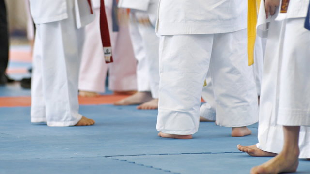 Karate Kids On Pads