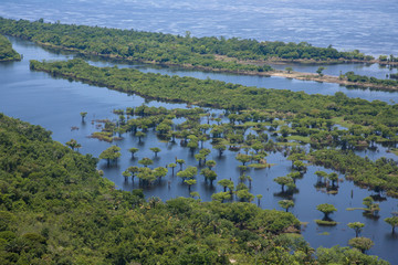 アマゾン川の水没林空撮
