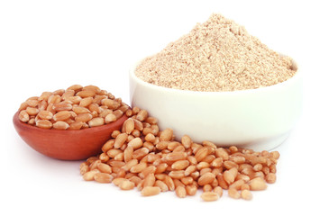 Wheat and reddish flour