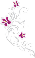 Fototapeta na wymiar Ornamental element with pelargonium flowers