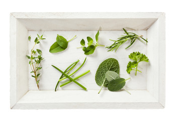 Herbs Collection on Tray Isolated