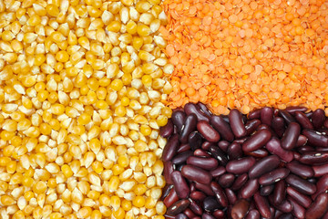 Grouped corn, lentils and beans
