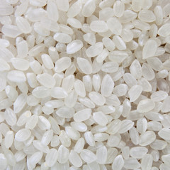 Rice Texture