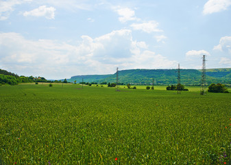 Landscape of a field with wheat ears