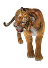 Obraz na płótnie Canvas Tiger