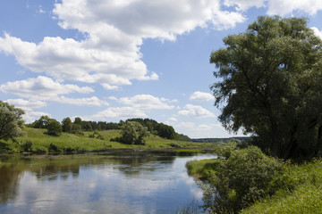 View from the shore of the river against the background of pine forest and cloudy sky