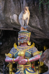 Monkey seats on the statue