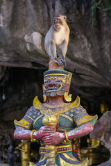 Monkey seats on the statue