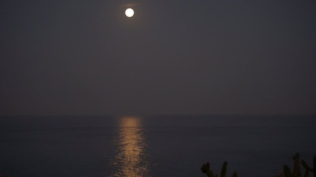 LUNA LLENA REFLEJO MAR
Plano fijo tr&iacute;pode de paisaje costero con luna llena, su reflejo en el mar, olas y cactus