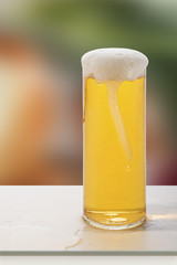 Bier-Kölsch