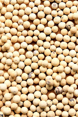 white pepper seeds on wooden background.