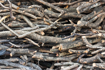 closed up the woodpile