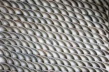 Fish Scales © markdeibertphoto