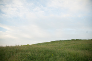 природа трава и небо