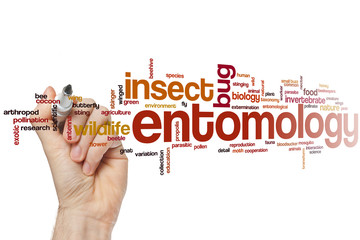 Entomology word cloud