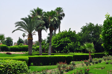 Obraz premium Koutoubia Gardens