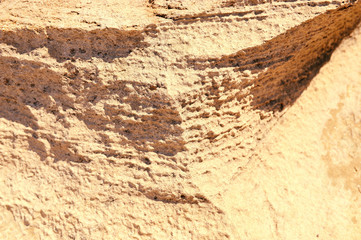 Limestone boulder close-up background