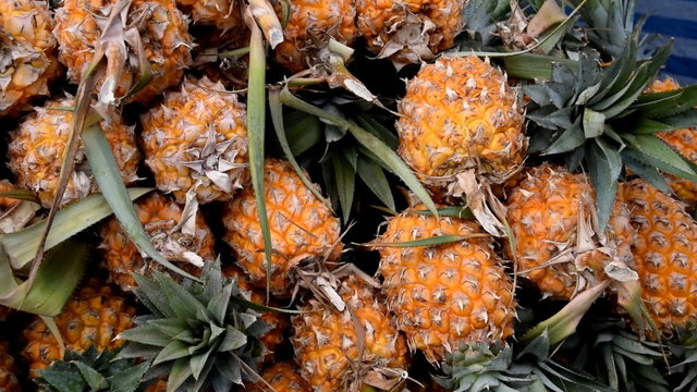 Pineapple or Ripe pineapple, Pile of Organic Pineapple at the market