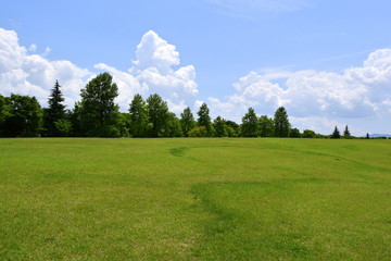 公園の草原