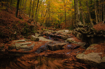 Montseny a la tardor (Catalunya)