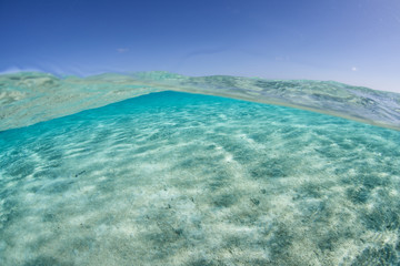 Tropical Lagoon