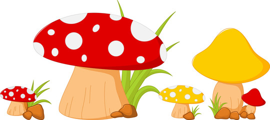 Red mushroom with grass