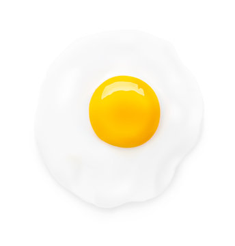 Fried egg isolated on white background. Vector illustration